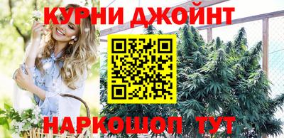 гашик Нарткала