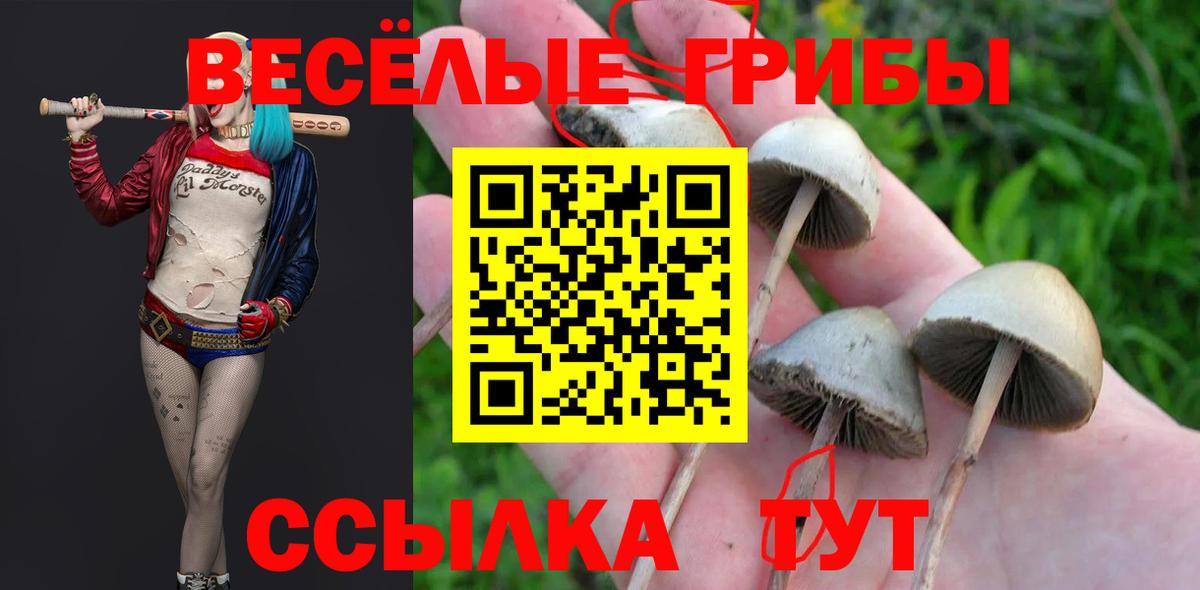 купить   Псилоцибиновые грибы MAGIC MUSHROOMS  Псилоцибиновые грибы мицелий  Вход с VPN  Советский 